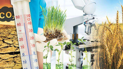 Экономика нуждается в современной системе научного обеспечения аграрной отрасли
