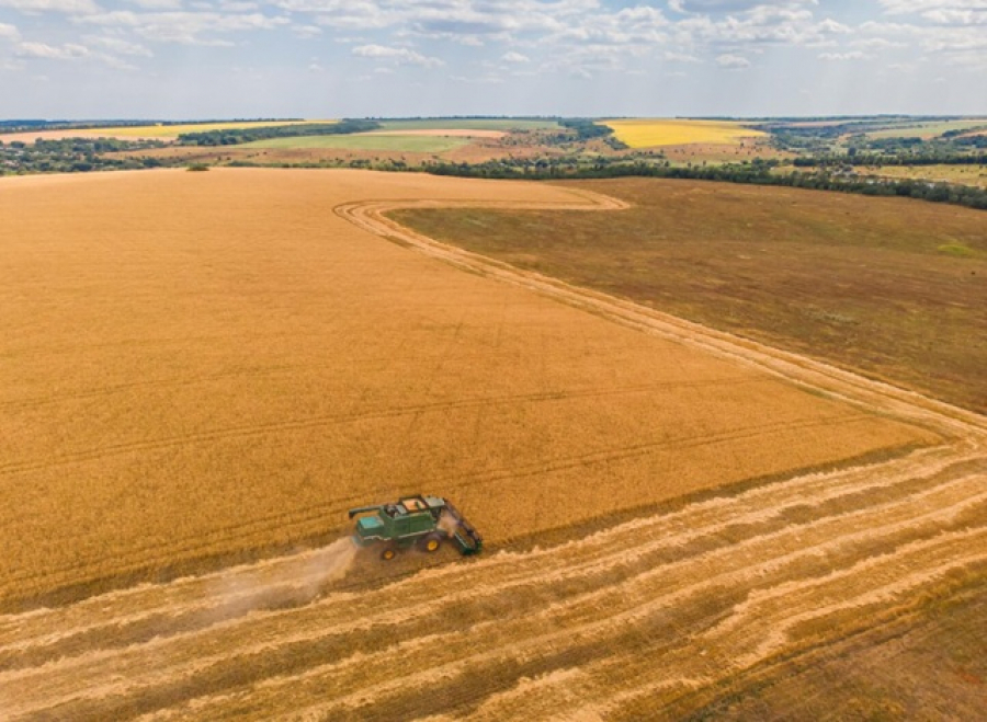 В 11 районах Татарстана начались посевные работы