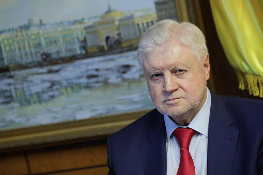 Миронов предложил платить бабушкам и дедушкам по МРОТ за уход за внуками