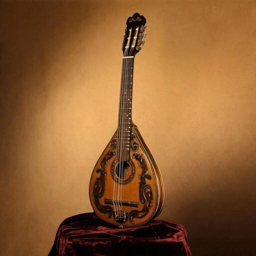 Сибиряк своими руками сделал лирогитару: ими пользовались 400 лет назад