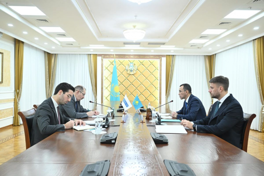 Спикер Сената встретился с главой Офиса программ ОБСЕ