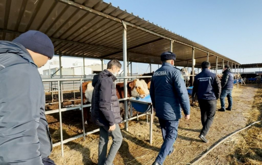 В Атырау проверяют скотные рынки и мясные лавки