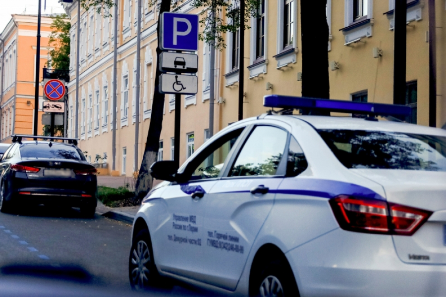 Сын бывшего вице‑губернатора Петербурга задержан по подозрению в убийстве