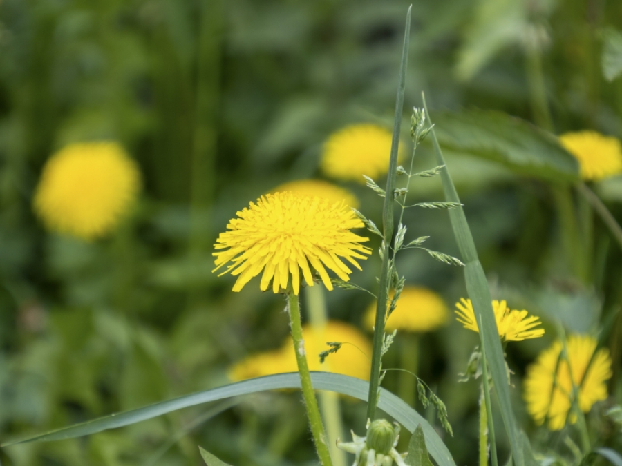 Какая погода ждет жителей Приморья 1 Мая: прогноз синоптиков