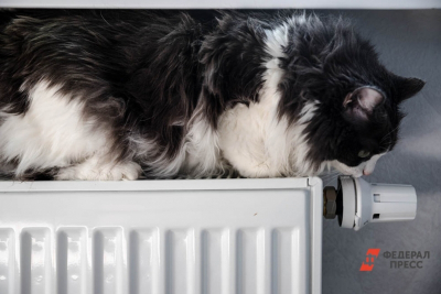 Кто должен отвечать за уменьшение жара в батареях, рассказали хабаровчанам