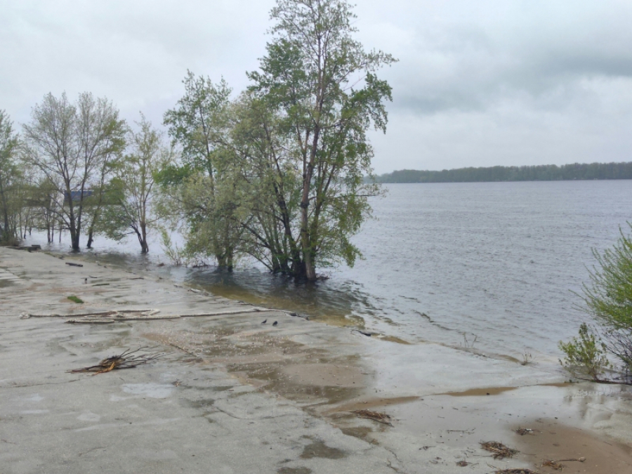 Число подтопленных участков в рязанских Борках выросло до 88
