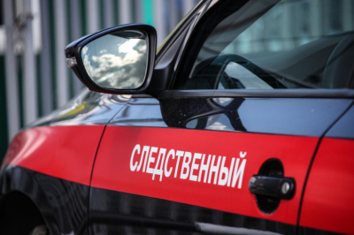 СК заинтересовался избиением девочки в Москве