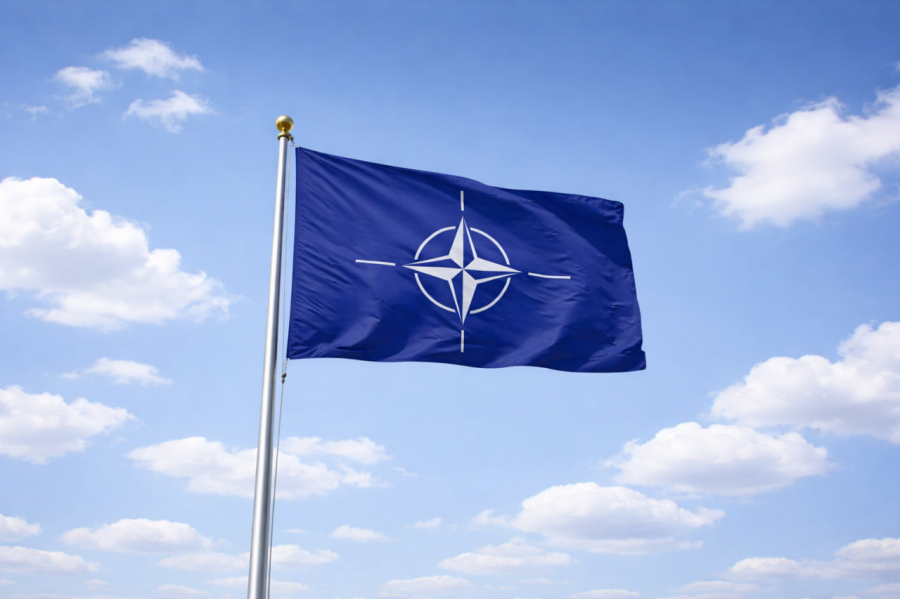 NYT подняли на смех из-за незнания полного названия НАТО