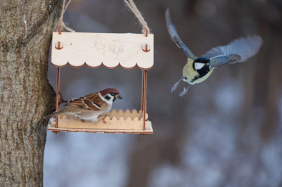 Влажный ветер и тепло до +3? Погода в Москве в середине марта: чего ждать