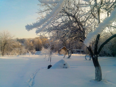 Синоптик Леус назвал прошедшую ночь в Москве самой холодной с начала зимы
