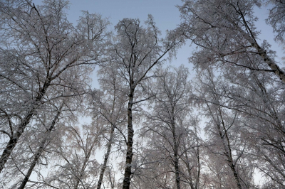 Снегопад обрушится на Москву и Подмосковье 27&ndash;28 апреля