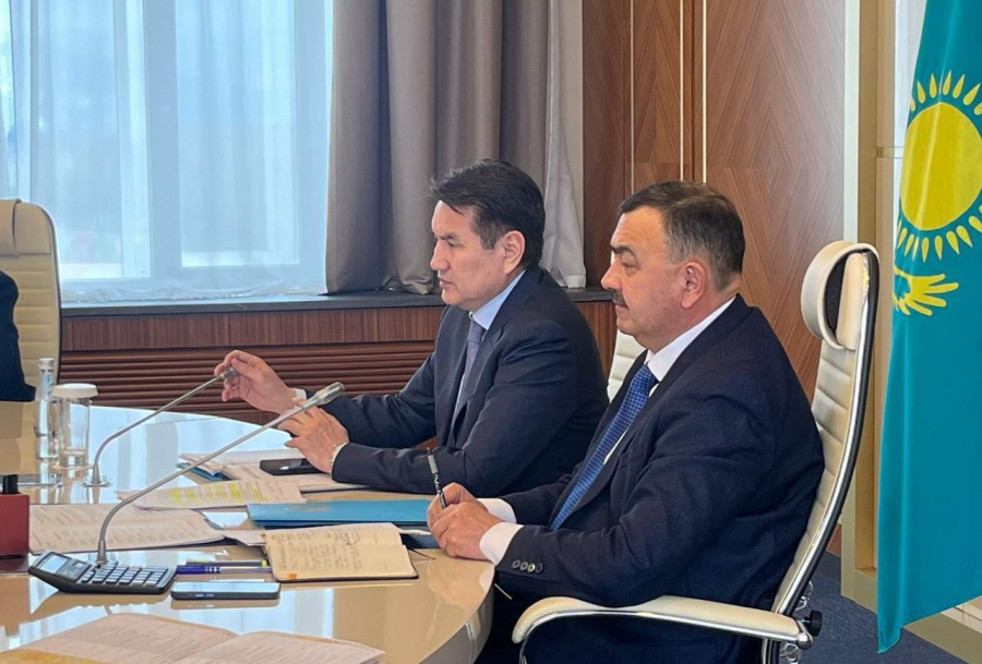 Саночистку эпидемиологически значимых объектов проведут в ВКО
