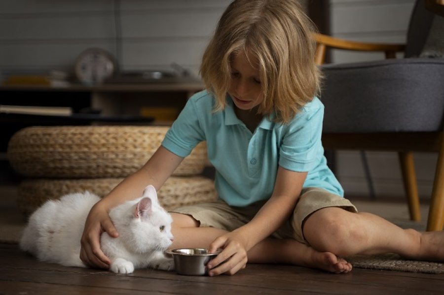 Ребенок просит питомца, а родители против: алгоритм действий от психолога КФУ