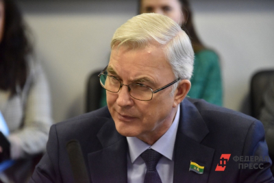 Вице-спикер гордумы Екатеринбурга призвал дотянуться &laquo;щупальцей&raquo; до детей Академического ради воспитания