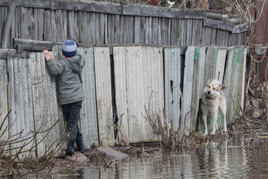 Ока вышла из берегов: фото крупнейшего разлива реки и работы спасателей