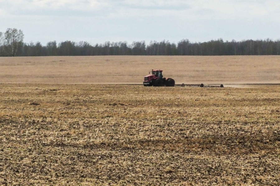 Аграрии Рязанской области начали подкормку озимых культур