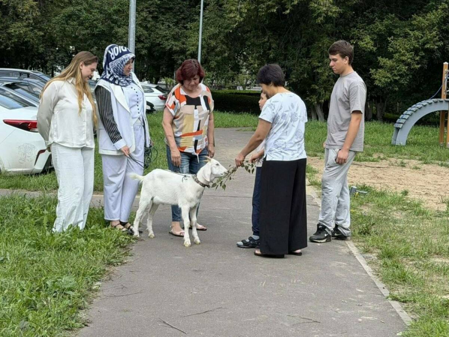 В Челнах козел по кличке Борис Николаевич стал звездой района