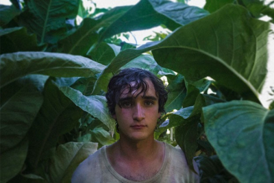 Что покажут на Уикенде Европейского кино в Алматы?