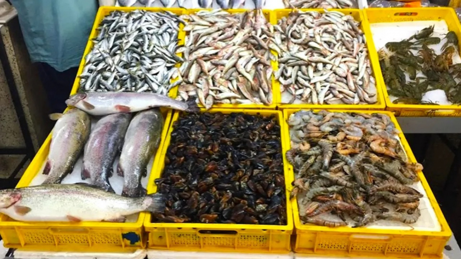 Сколько рыбы едят казахстанцы и где живут главные любители даров моря?