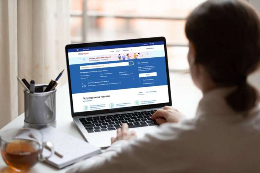 На &laquo;Госуслугах&raquo; появился новый цифровой сервис для управления наружной рекламой