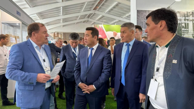 Нарастить производство молока в два раза планируют в Казахстане