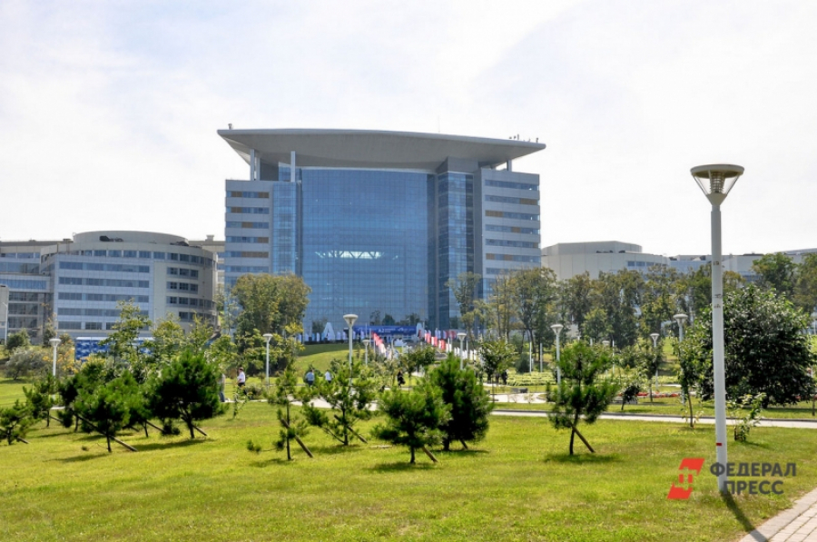 Амфитеатр и новые дорожки: как преобразится парк ДВФУ