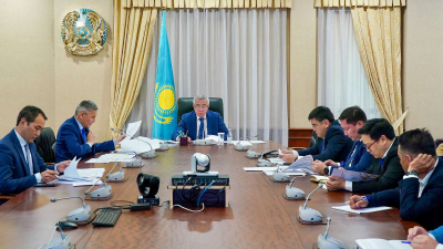 Казахстан может закрыть потребность в мясе птицы за два года