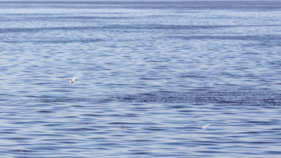 Переправа Аракчино &ndash;&nbsp;Верхний Услон начала свою работу 16/04/2026 &ndash; Новости