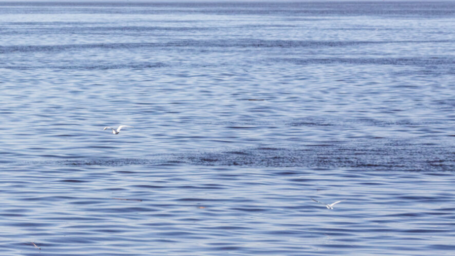 Переправа Аракчино &ndash;&nbsp;Верхний Услон начала свою работу 16/04/2026 &ndash; Новости