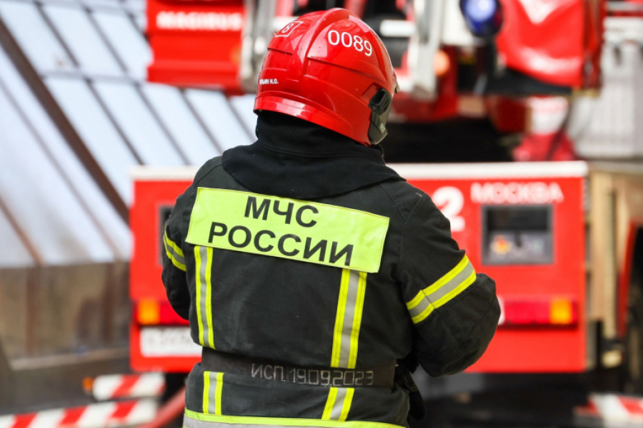 Подросток спас из пожара брата и кошку