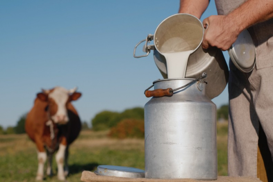Молоко во сне: от изобилия до упущенных шансов &mdash; полное толкование
