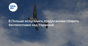 В Польше испугались предложения сбивать беспилотники над Украиной