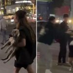 Женщина бросила свою собаку в прохожего во время конфликта в Алматы (видео)