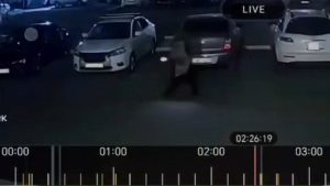 Спор из-за места на парковке: семейчанка заплатит крупный штраф за надпись на асфальте