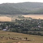 Группу из трех человек задержали на юге Казахстана: им пришлось заплатить 11,5 млн тенге