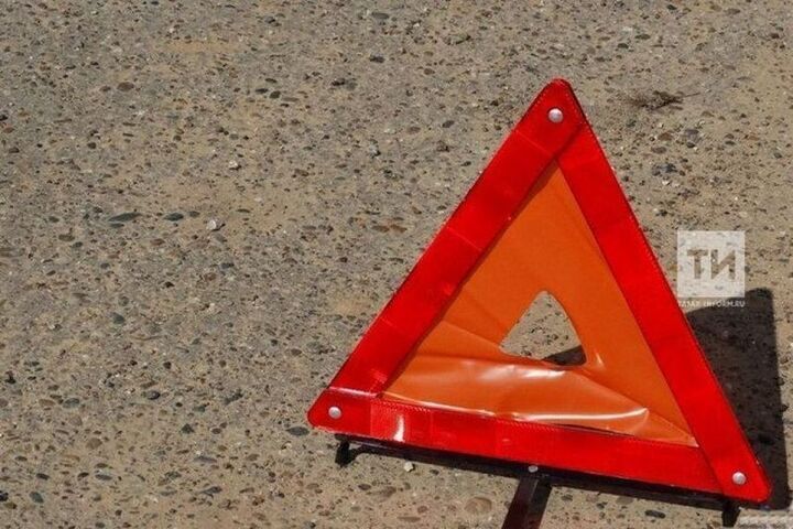 В Казани олень погиб под колесами иномарки