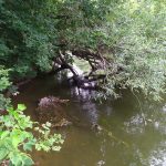 В России введут особый статус охраны для ценных водно-болотных угодий