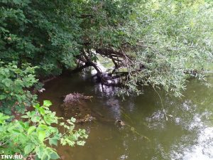 В России введут особый статус охраны для ценных водно-болотных угодий