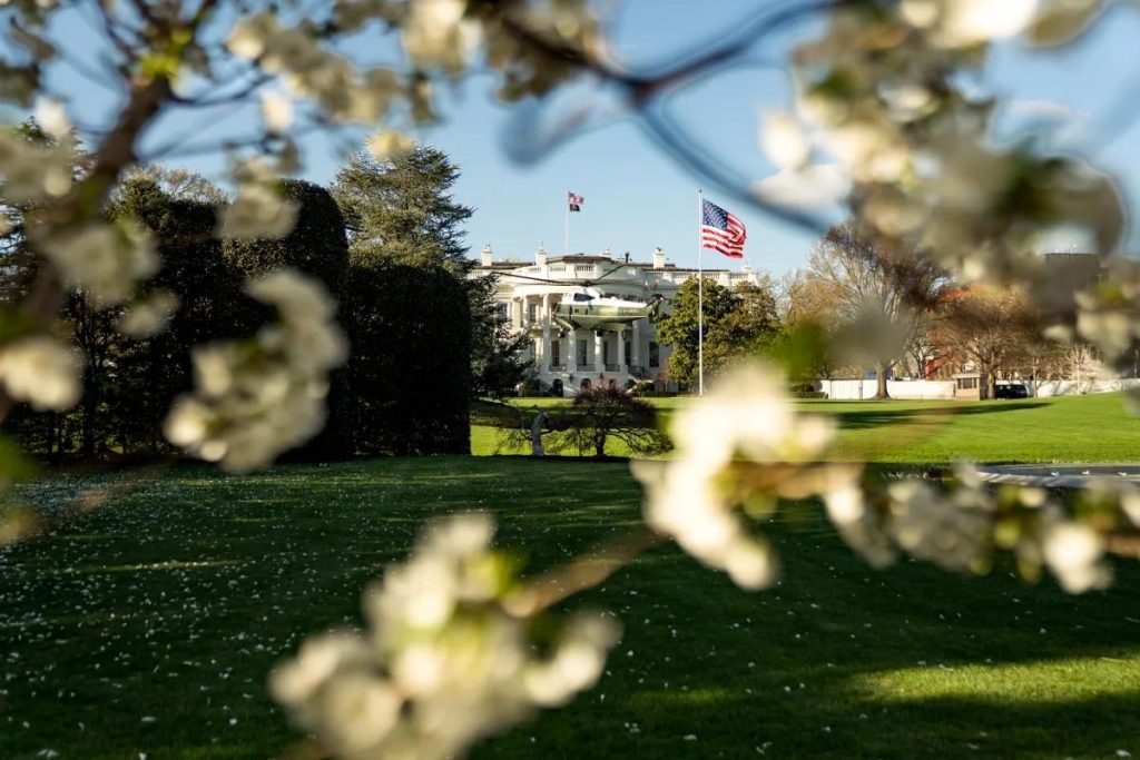 Трамп назначил Кэти Закарию пресс-секретарем Белого дома: что известно о новой главе пресс-службы