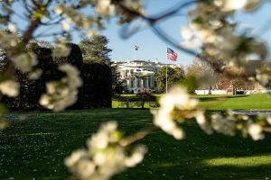 Трамп назначил Кэти Закарию пресс-секретарем Белого дома: что известно о новой главе пресс-службы